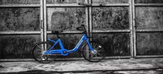 对外经济贸易大学就业创业指导中心共享软件开发项目